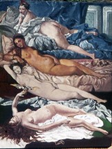 Collected Nudes